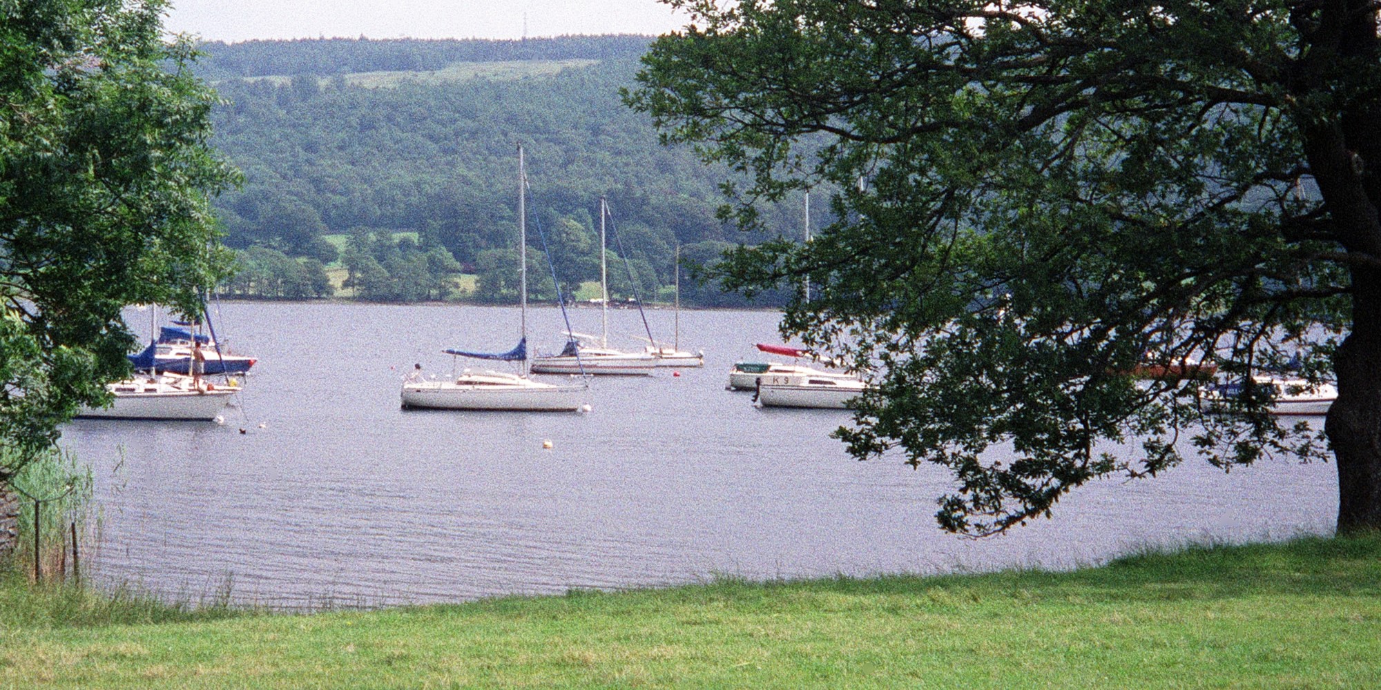 header image, no content