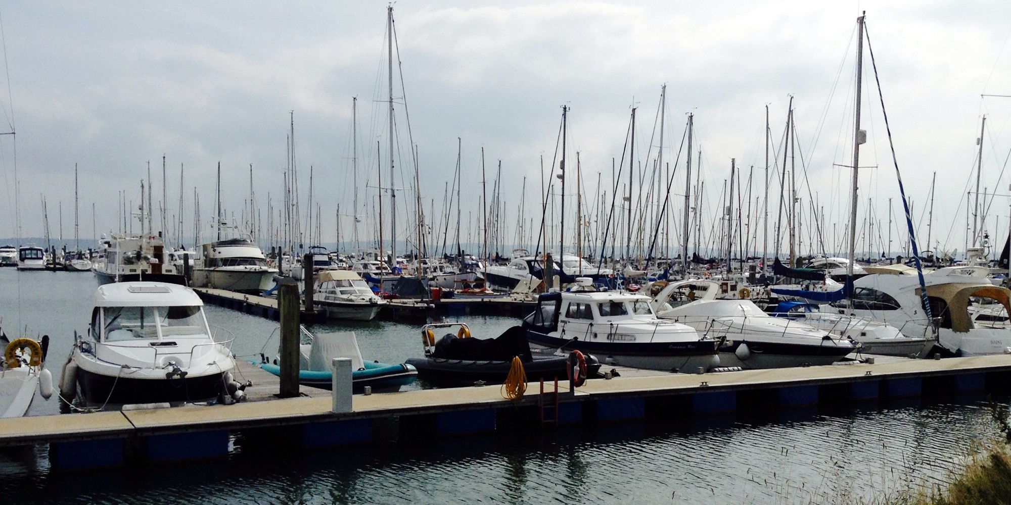 header image, no content