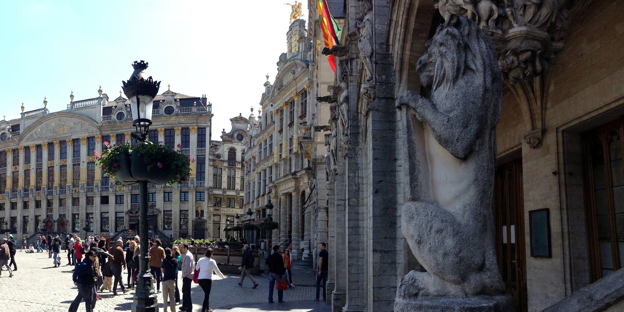 header image, no content