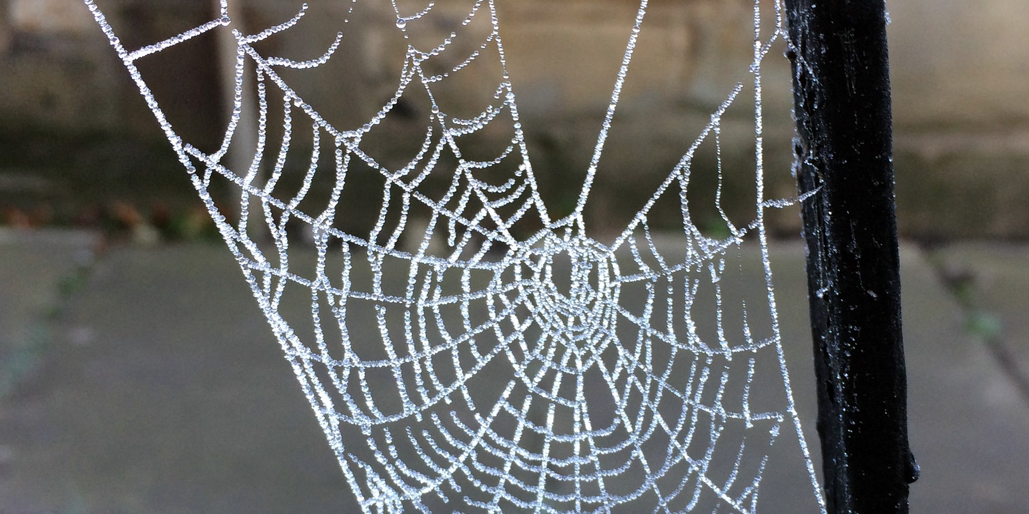 header image, no content