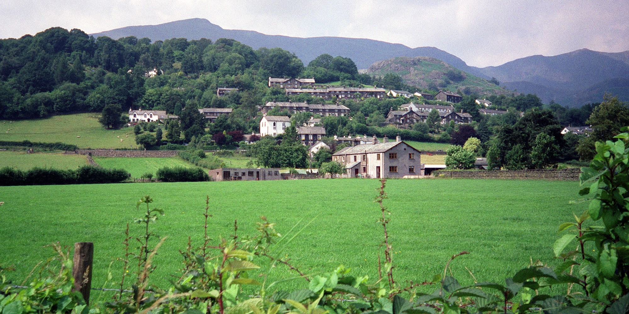 header image, no content