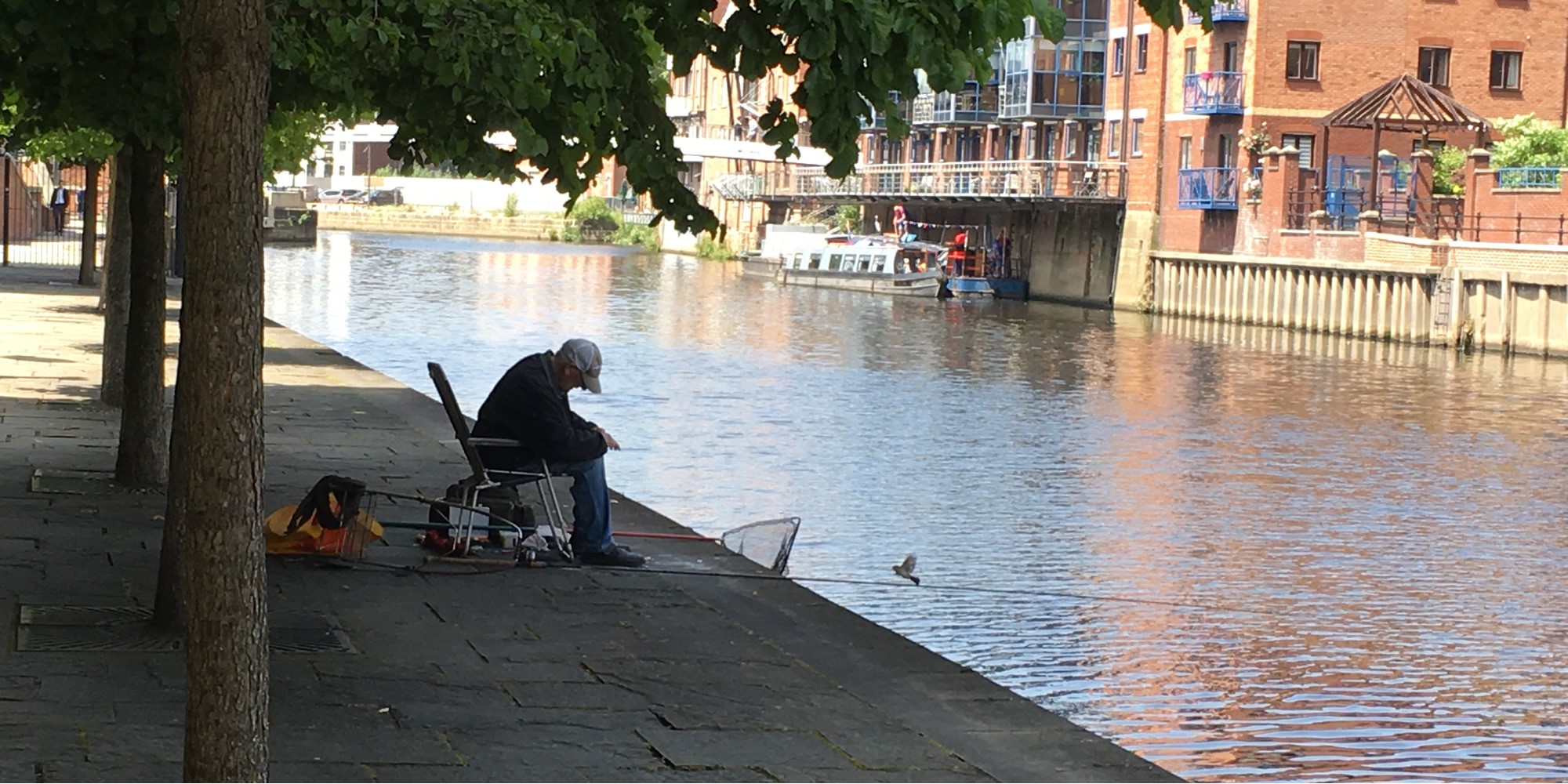 header image, no content